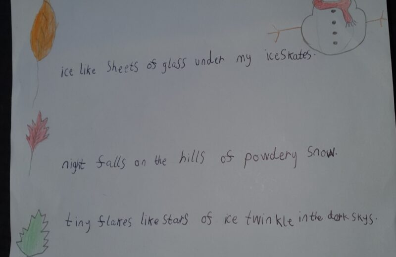 Y3/4P Literacy