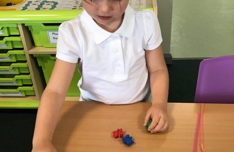 Place Value in Y1 numeracy