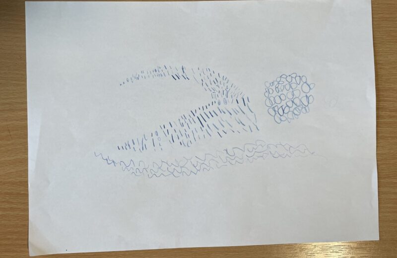 Guess which Olympic sport in 1/2B?