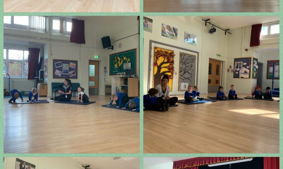 Healthy Lifestyles F1