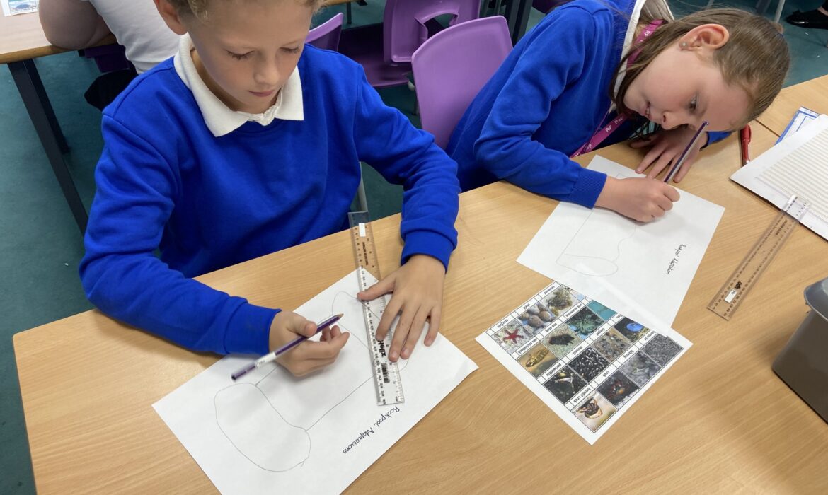 5/6H Science – Adaptations