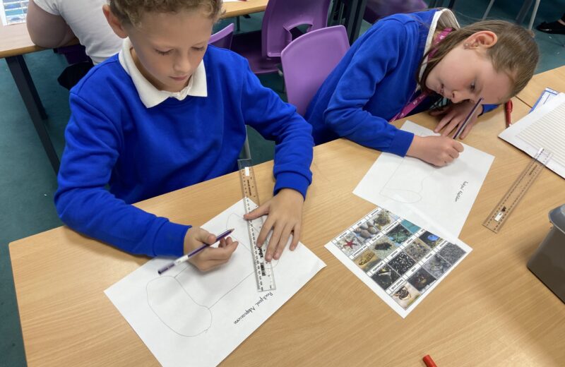 5/6H Science – Adaptations