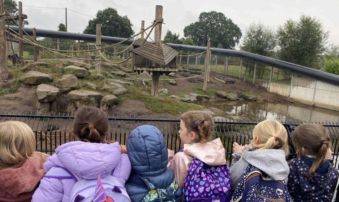 2S at Yorkshire Wildlife Park