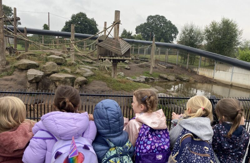 2S at Yorkshire Wildlife Park