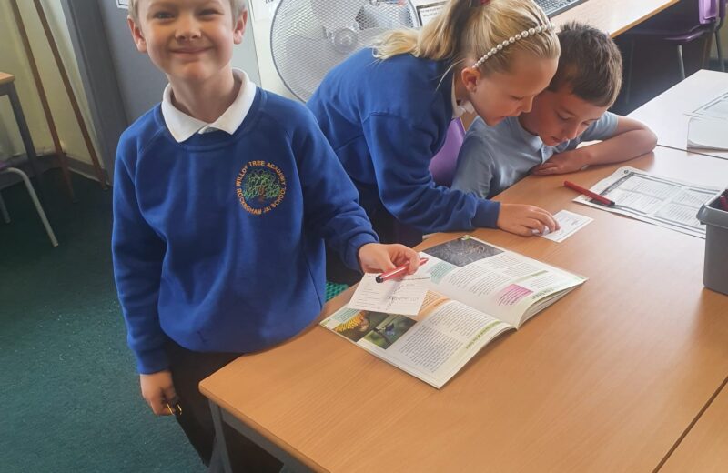 Rainforest Research!