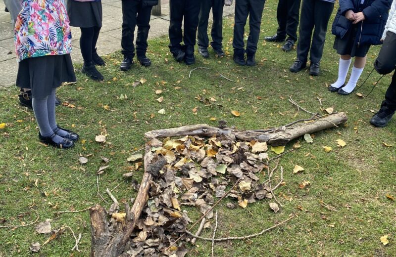 Andy Goldsworthy inspired art 4D
