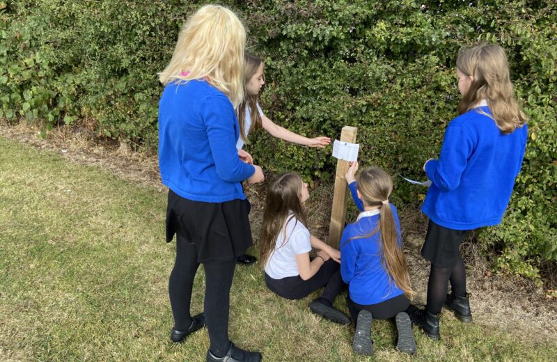 5/6H and 6B Away from desk Maths