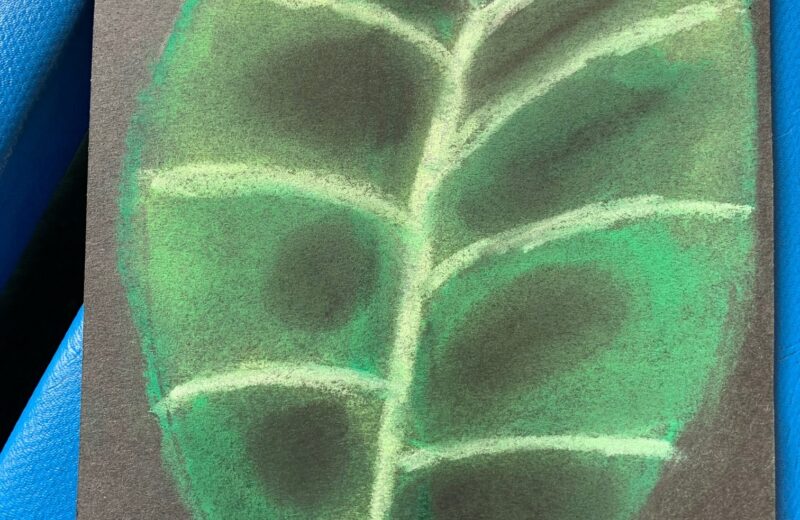 Exploring tone using pastels