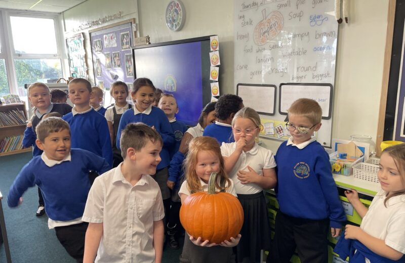 Exploring a pumpkin in 1/2B