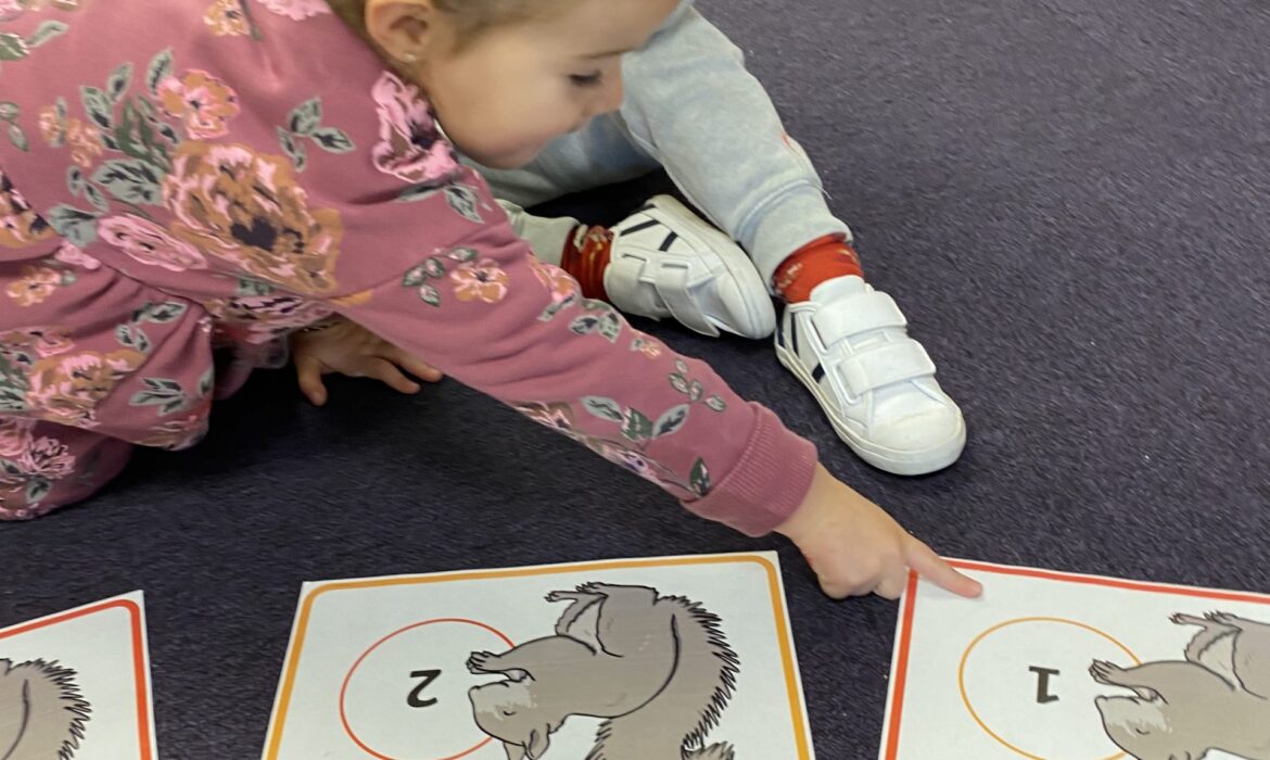 Squirrel maths in REY!