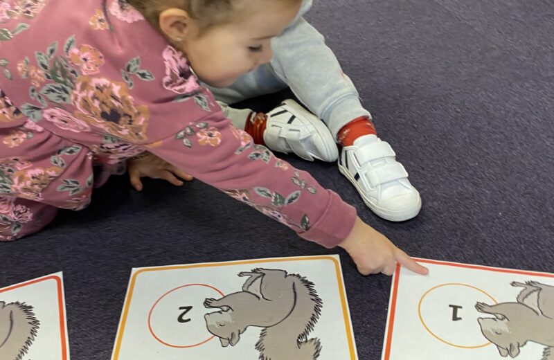 Squirrel maths in REY!