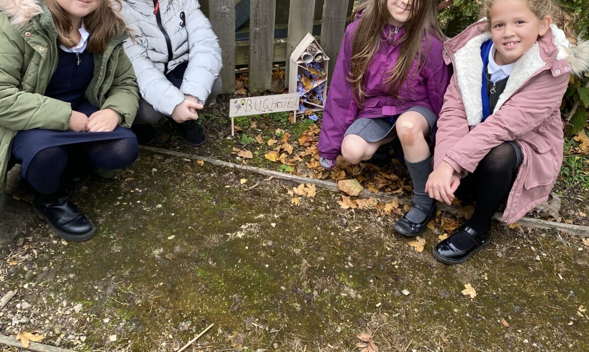 DT Bug Hotels 4D