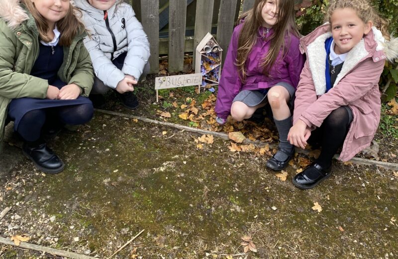 DT Bug Hotels 4D