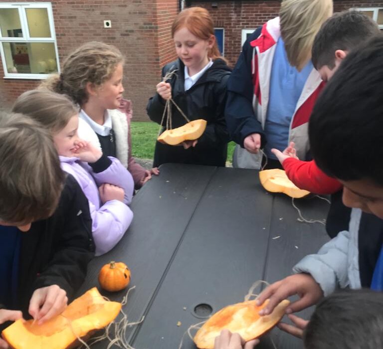Environment Club Continues