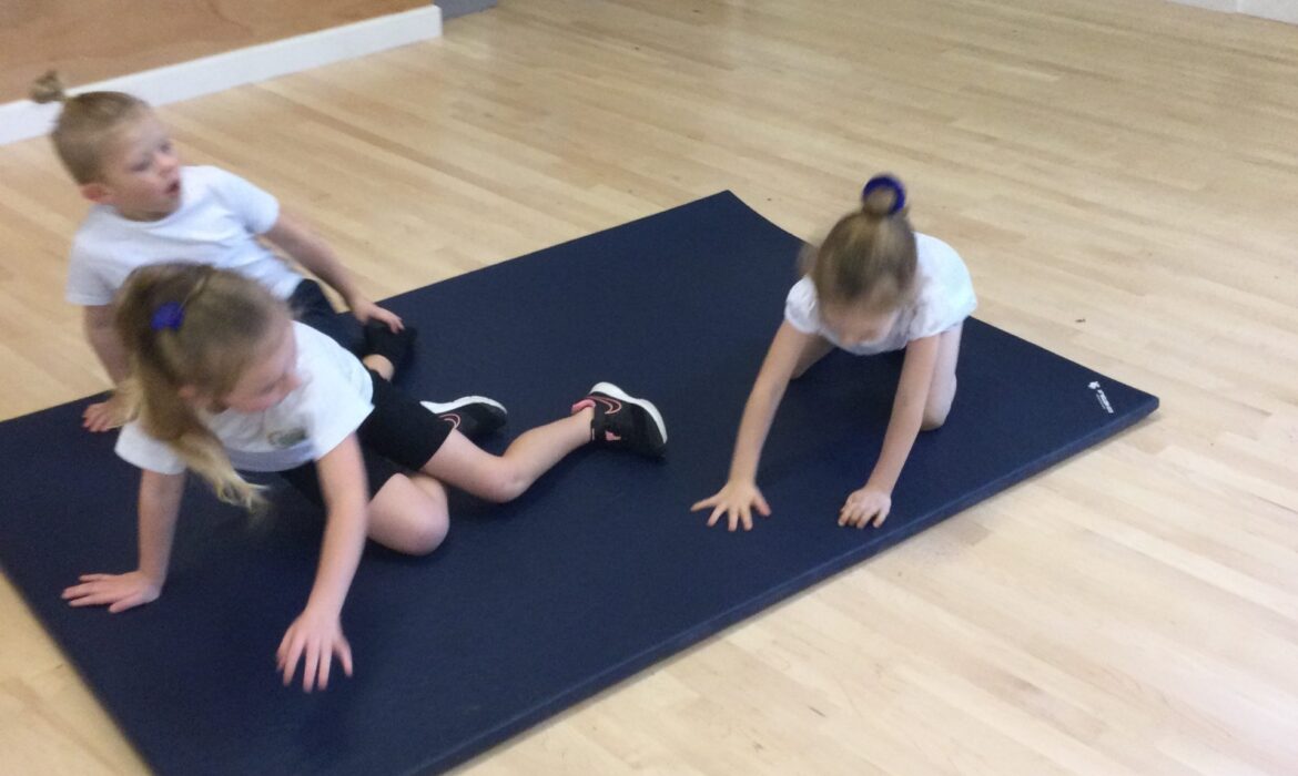 PE- gymnastics in year 1