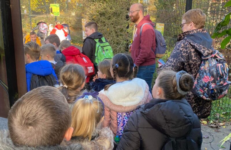 Butterfly House with Y3/4