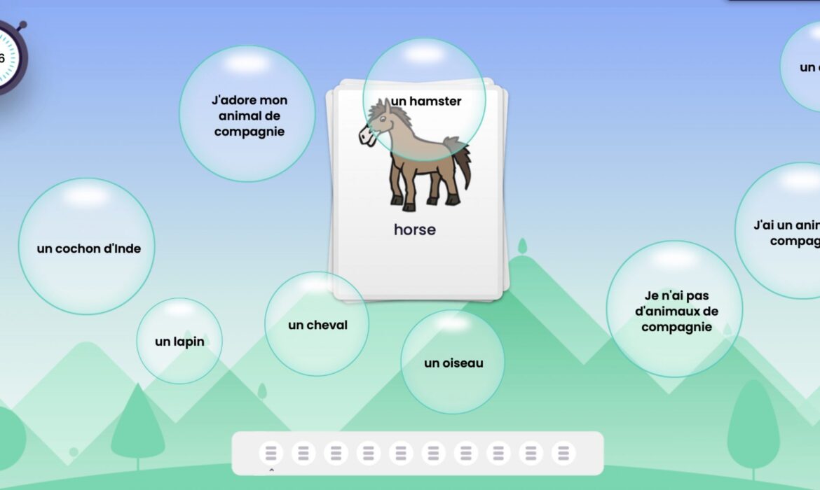 We ❤️ learning French pet vocabulary in 1/2B  ‍⬛