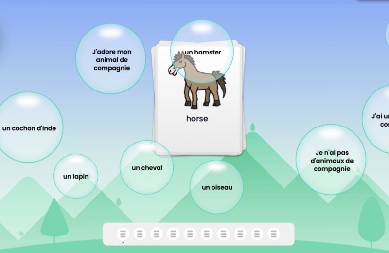 We ❤️ learning French pet vocabulary in 1/2B  ‍⬛