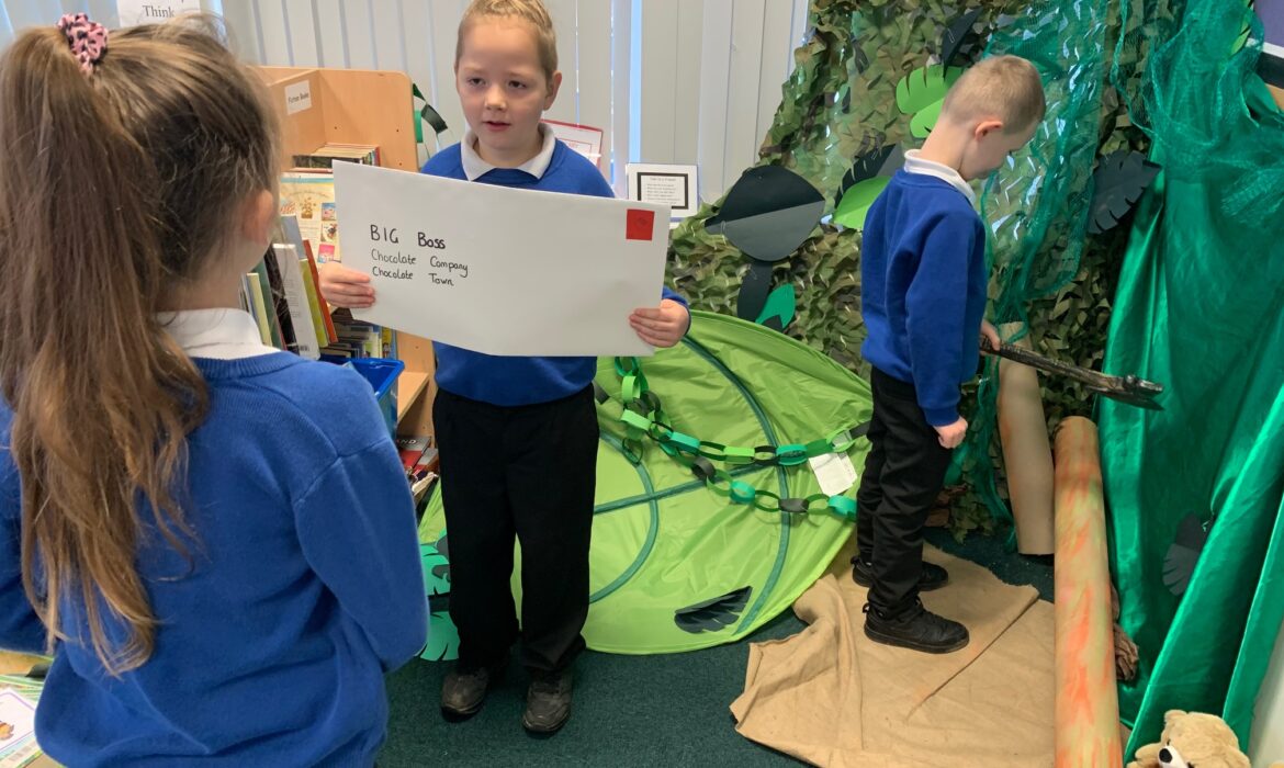 Where did our rainforest go?