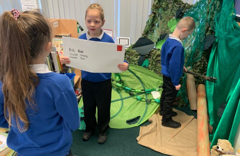 Where did our rainforest go?