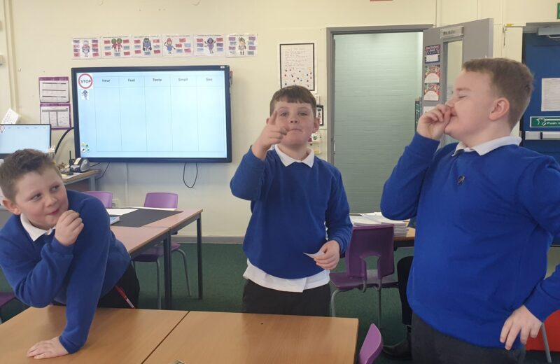 Drama in Y3WB