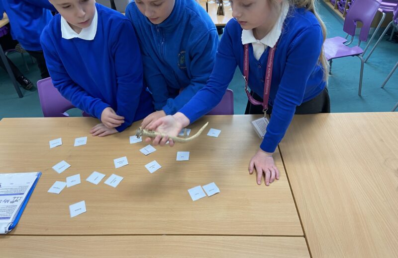 5H Science – grouping materials