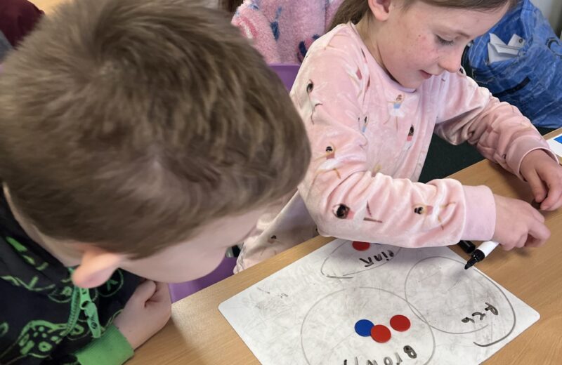 NRICH challenges in Y1/2W