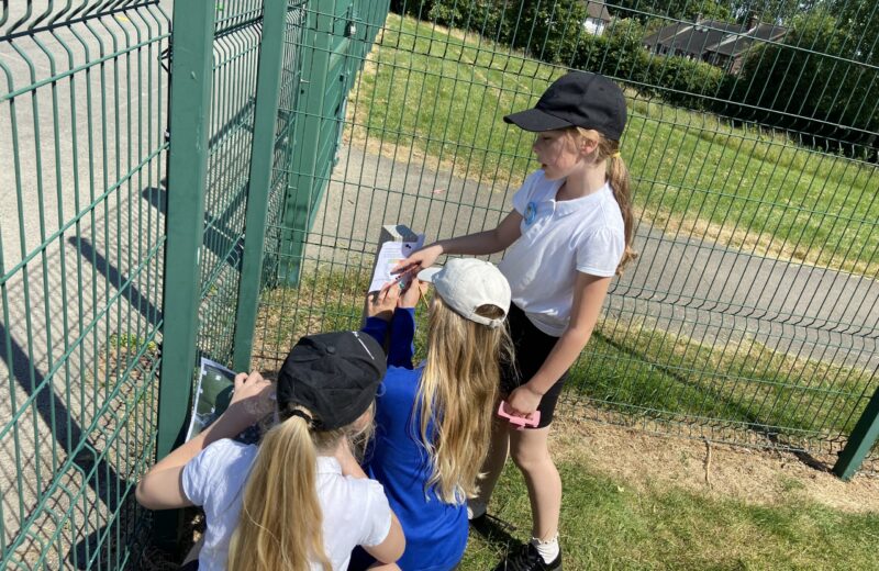 5H and 5/6P Maths Decimal Orienteering