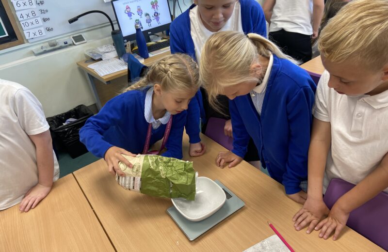 5H Maths – Practical measuring masses