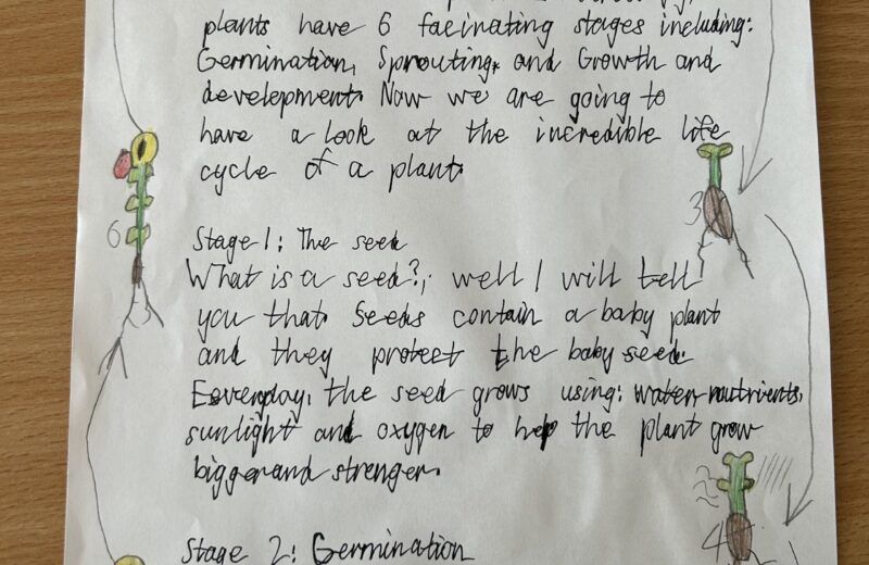 We love science at Rockingham – well done Thomas ⭐️