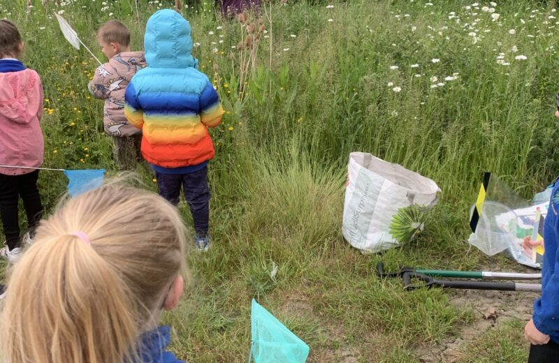 Y1 New Hall farm visit