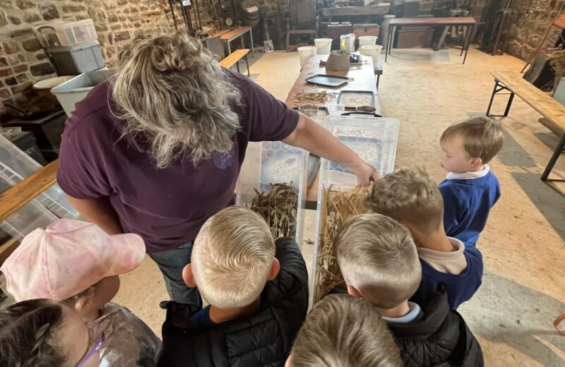 Y1 visit New Hall Farm