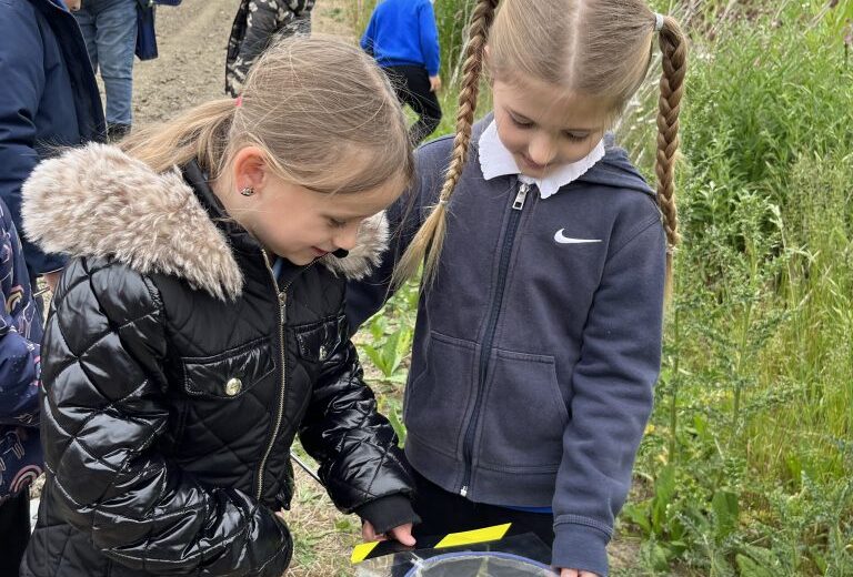 Y2 at New Hall Farm