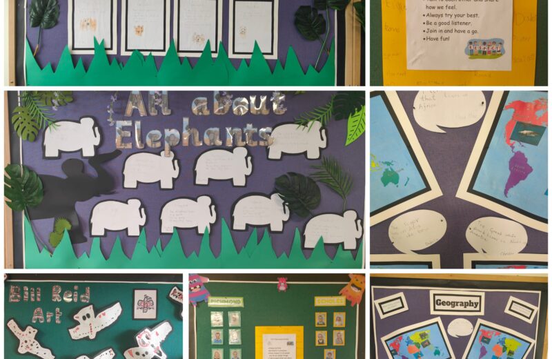 Y1S – Our Classroom