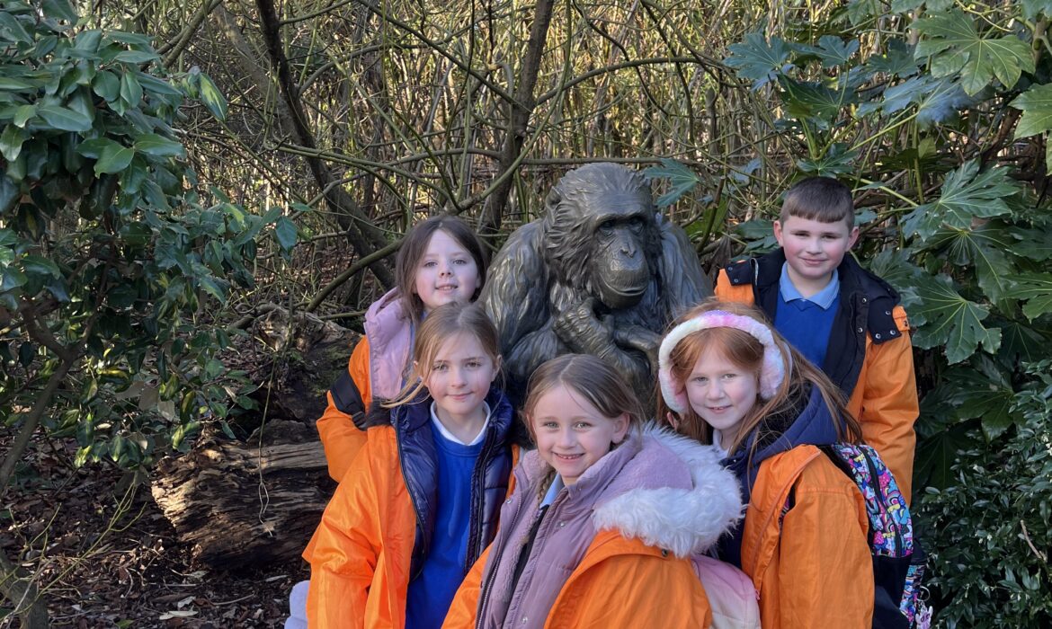 3WB Visit Chester Zoo