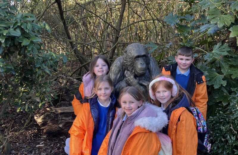 3WB Visit Chester Zoo