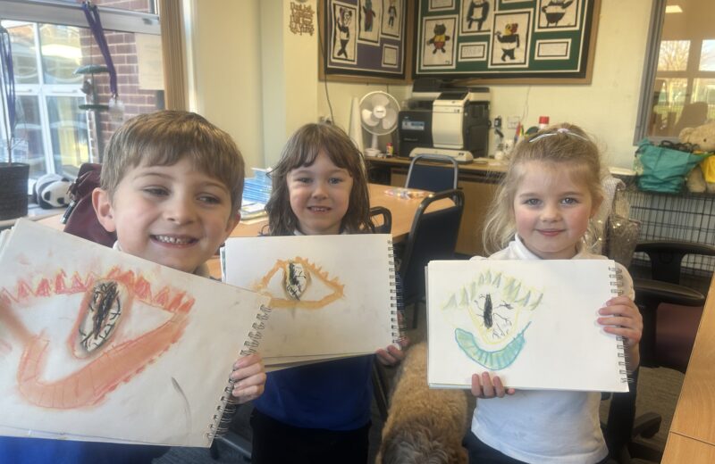 Art in Y1S