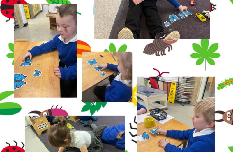 REY – Mini-beasts Maths! 🦋🐞🐝