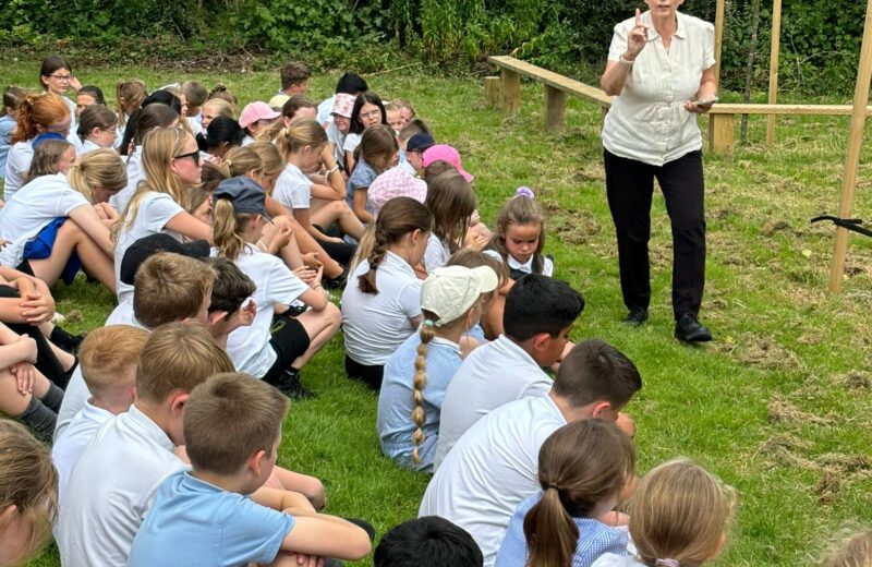 Forest School Ideas 💡