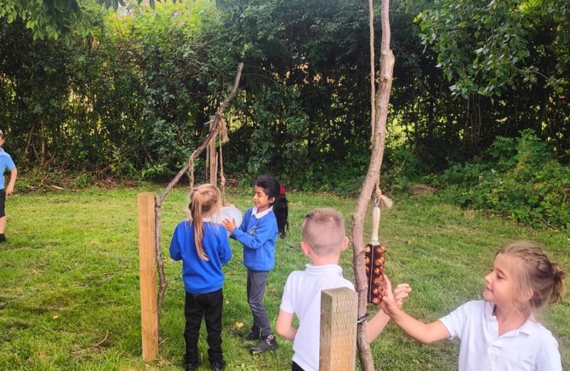 Forest School Exploration