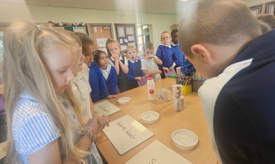 Ice Investigation Y1/2S