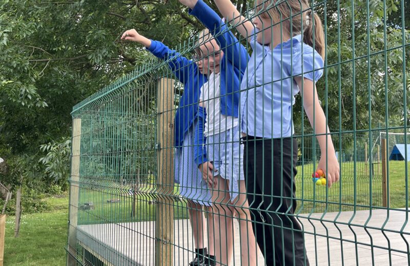4/5WH Investigate Gravity!