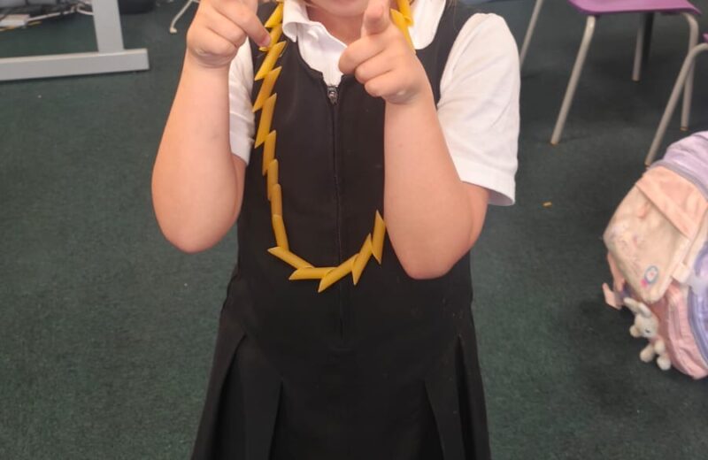 After School Club – Sustainability