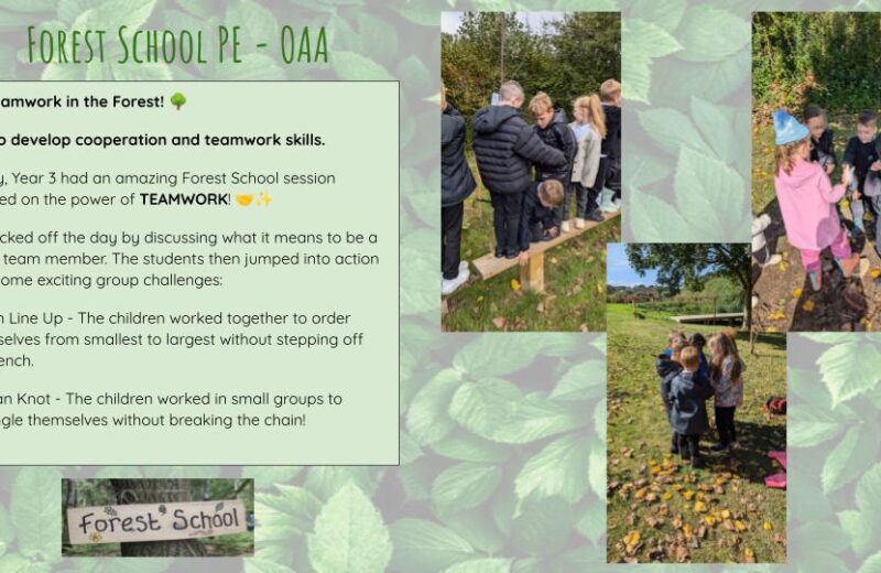 Forest School Y3T – PE