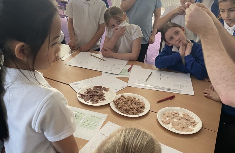 DT development in 3/4P
