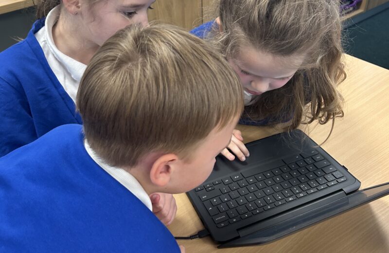 3T data inputting