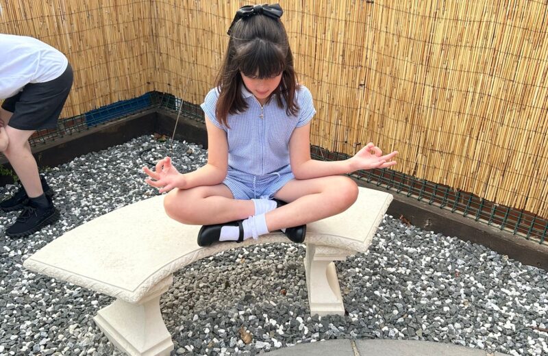 Sensory Circuits explore the Zen garden