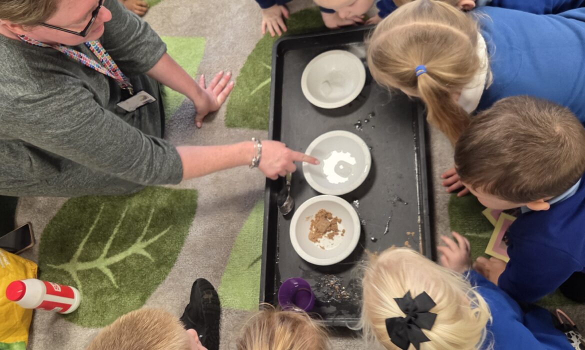 F1/2 – Science Experiment.