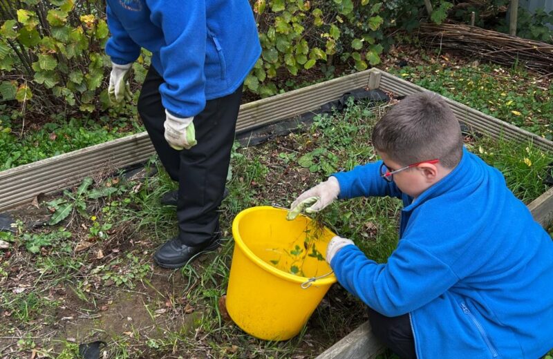 Environment club take on the challenge.
