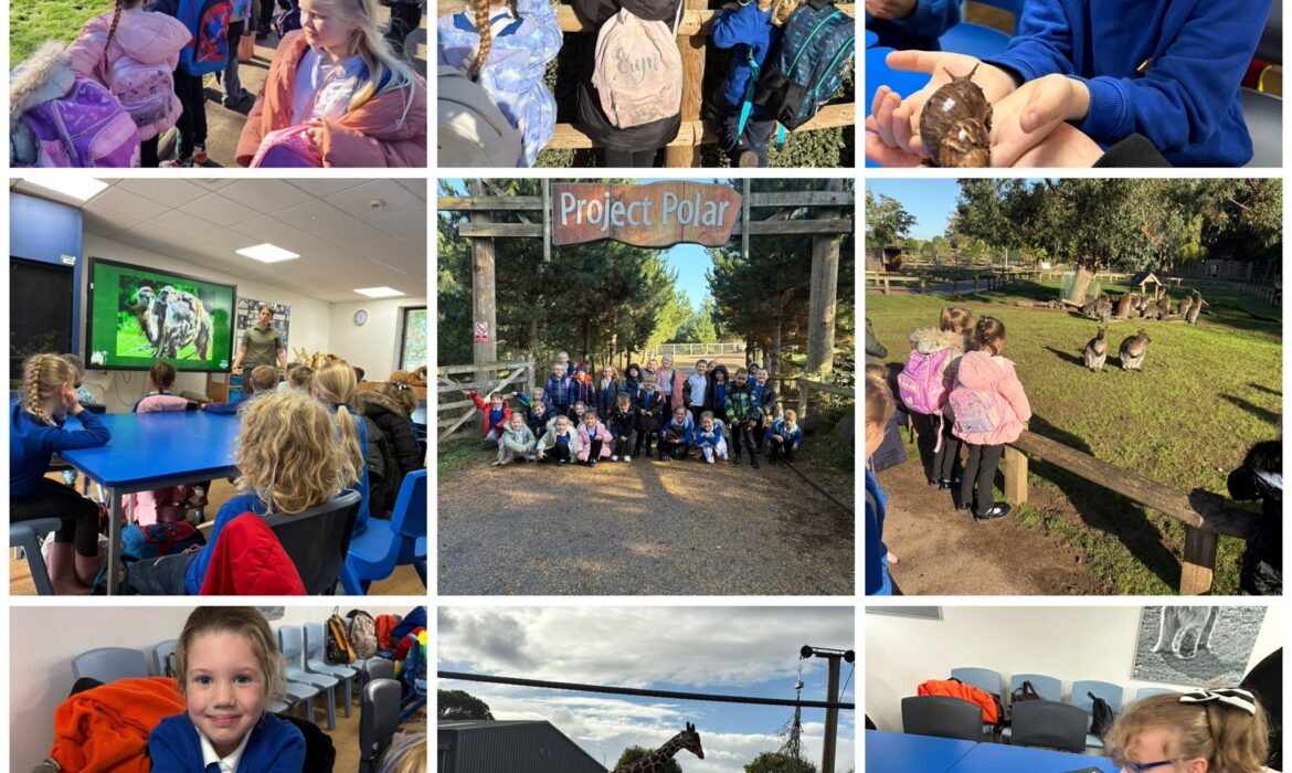 KS1 visit the Yorkshire Wildlife Park